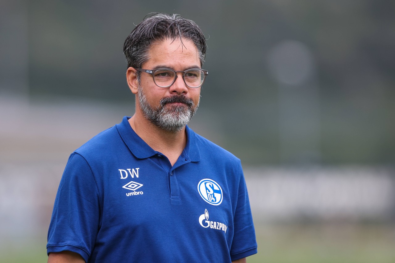Ex-Schalke-Coach David Wagner steht vor einem Engagement in England.