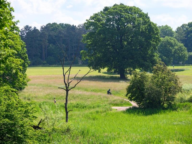 Die Loki Schmidt Stiftung lädt am 18. und 19. Juni wieder zum "Langen Tag der StadtNatur". Rund 250 Veranstaltungen in Hamburg und Metropolregion stehen auf dem Programm.