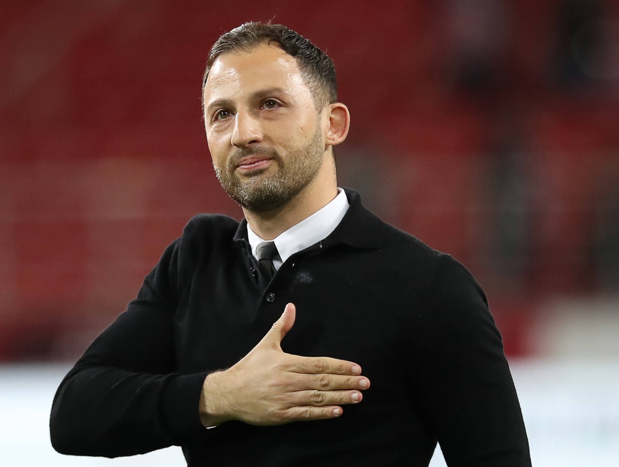 Die S04-Fans wünschen sich Domenico Tedesco zurück, doch der könnte bald womöglich eine andere Mannschaft trainieren.