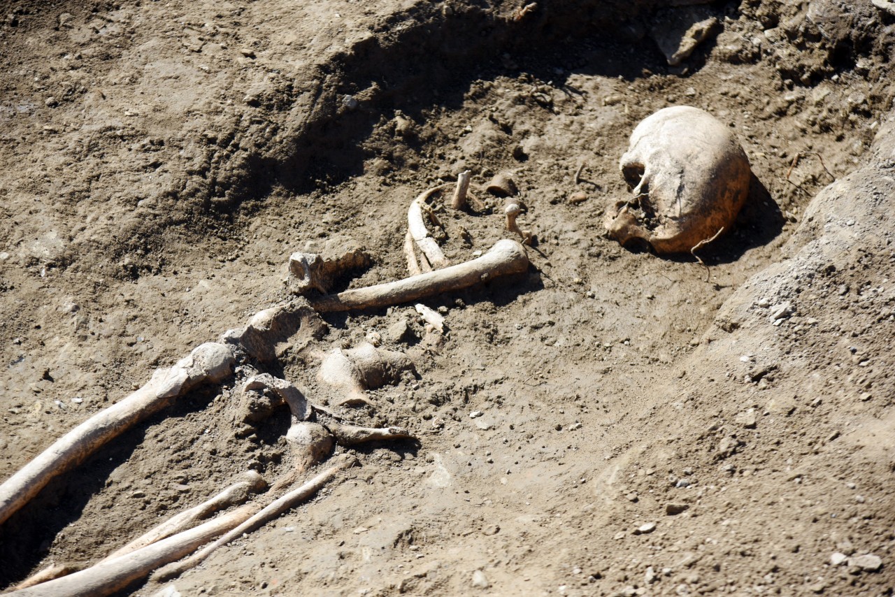 Dortmund: Skelette bei Bauarbeiten gefunden. (Symbolbild)