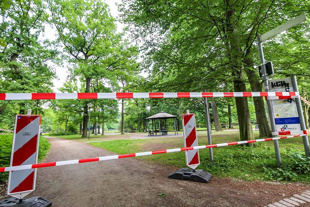 Dortmund-Fredenbaumpark-Eichenprozessionsspinner.jpg