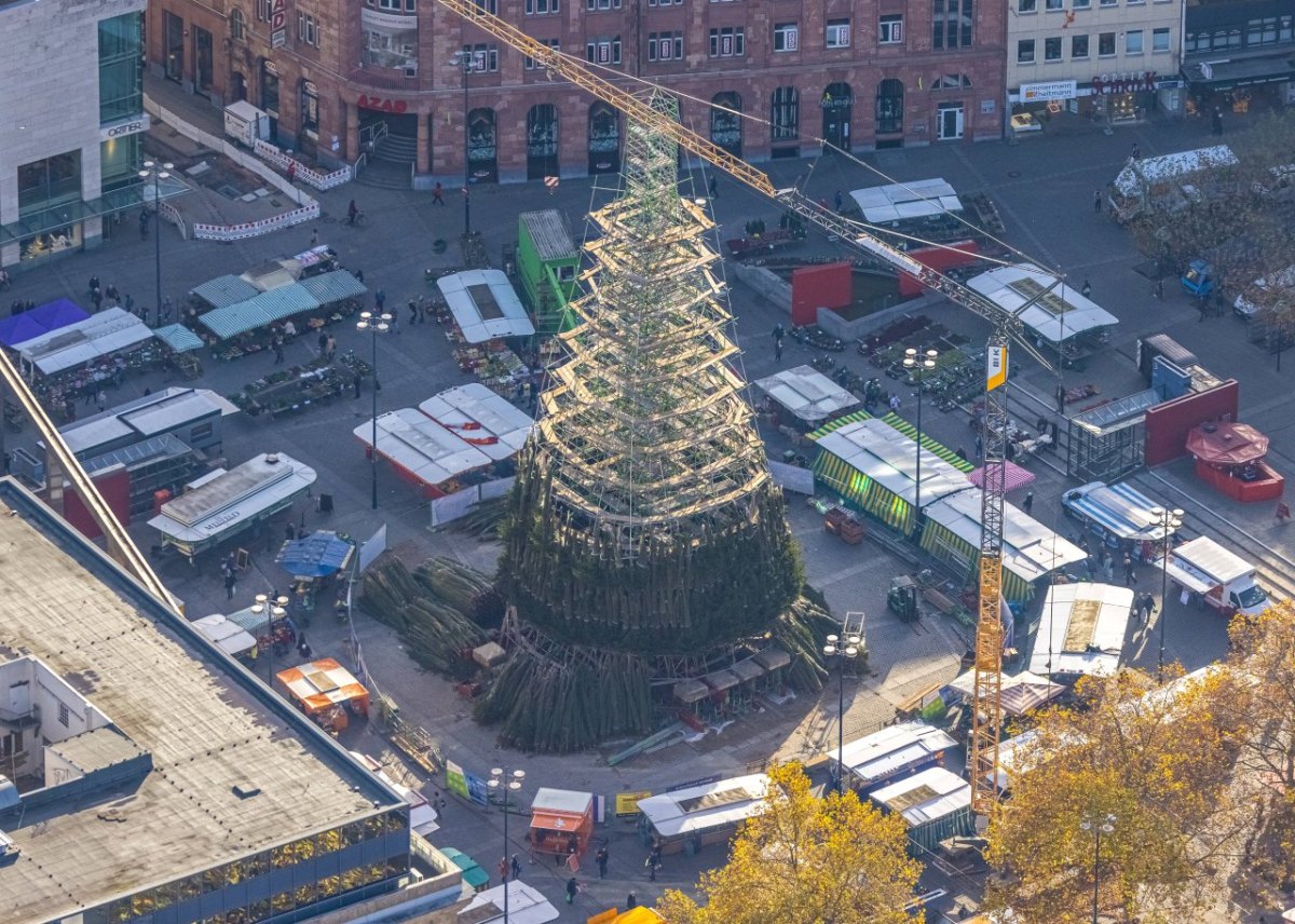 Dortmund Weihnachtsbaum.jpg