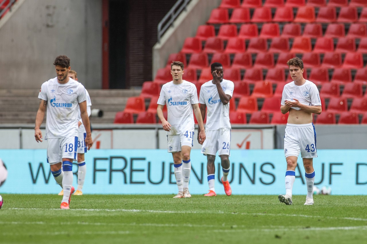 FC Schalke 04: Nicht nur Goncalo Paciencia, Florian Flick, Salif Sane und Matthew Hoppe waren nach dem Spiel gegen den 1. FC Köln bedient. 