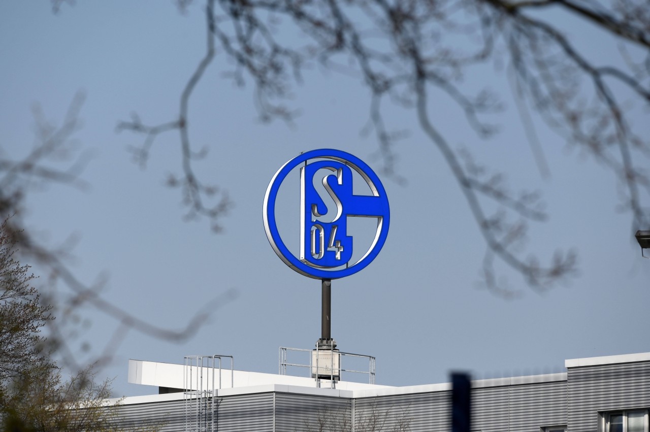 FC Schalke 04 gibt die nächste Personalie bekannt.
