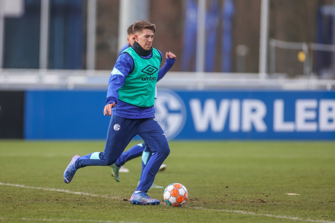 Zu wenige Startelfeinsätze beim FC Schalke 04 - macht Flick die Fliege?