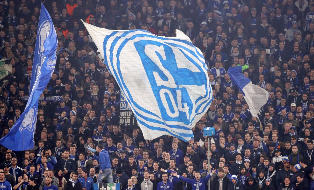 Gute Nachrichten für die Fans des FC Schalke 04.