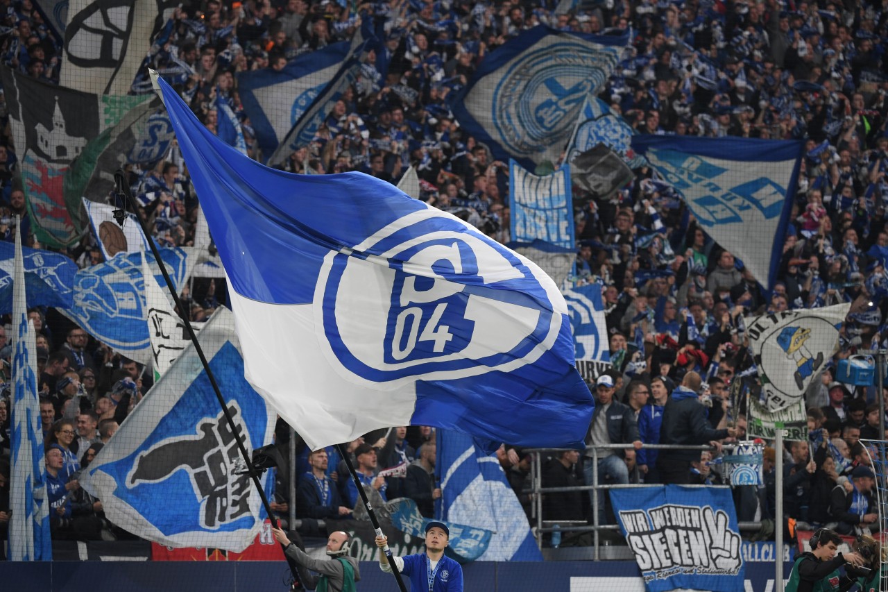 FC Schalke 04: Radikale Forderung der Knappen-Fans.