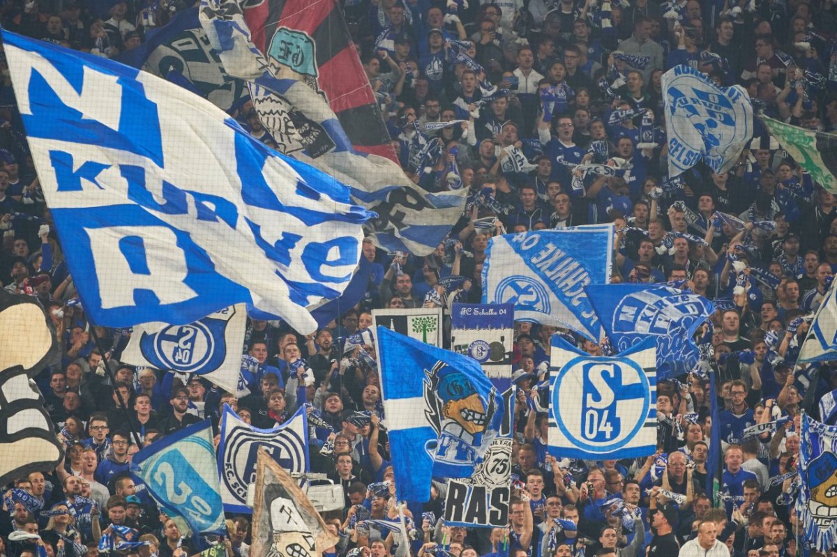 FC Schalke 04.jpg