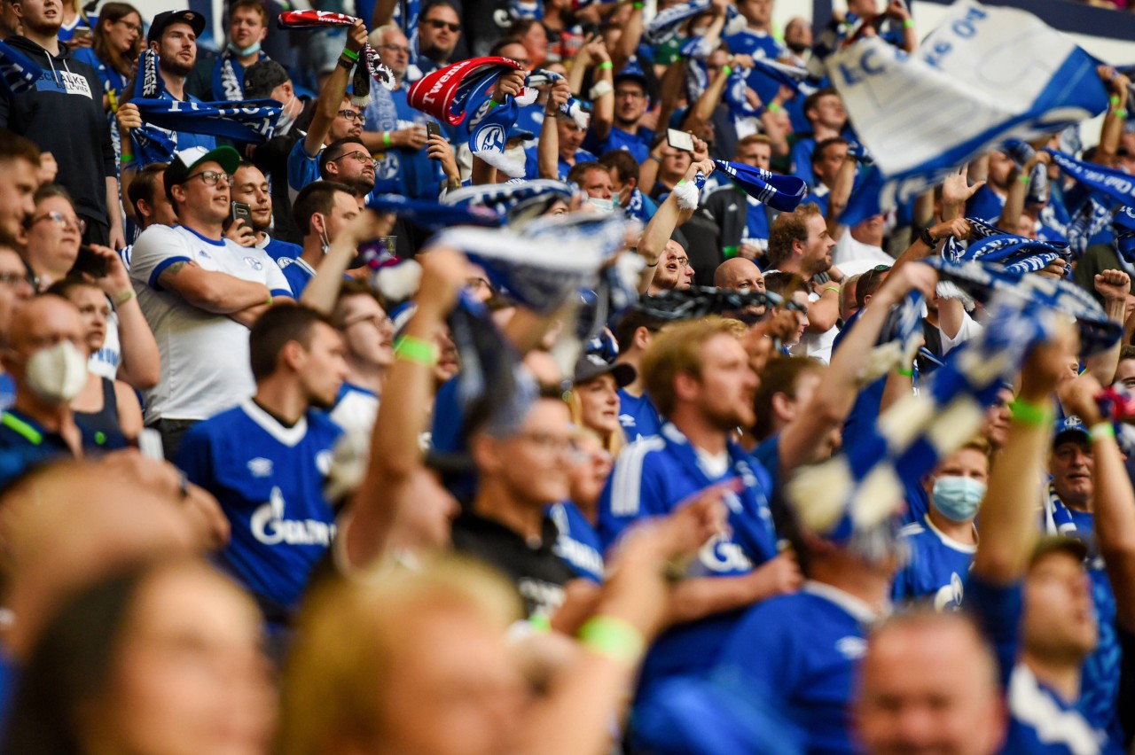 Die Fans des FC Schalke 04 feiern ein Traumtor eines Youngsters. 