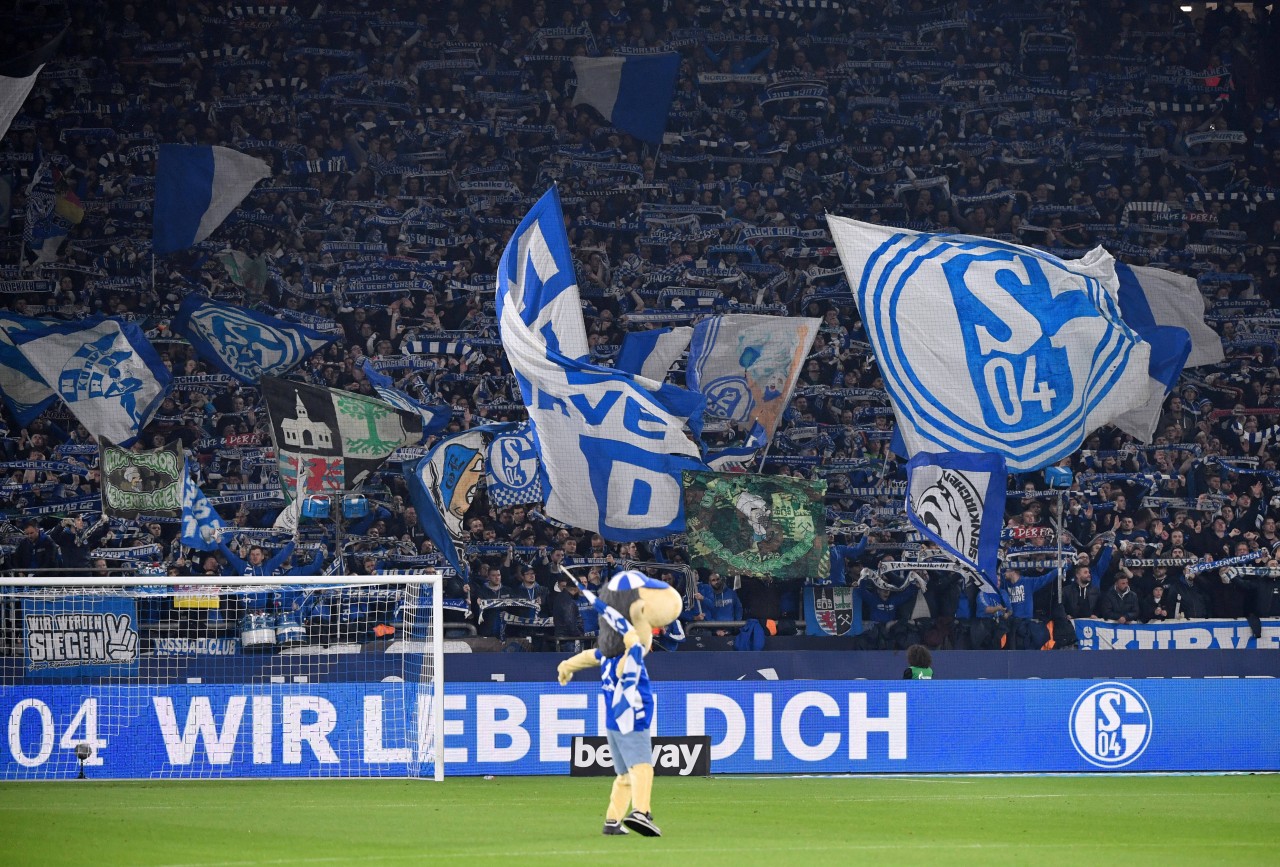 Die Ultras des FC Schalke 04 melden sich zu Wort.