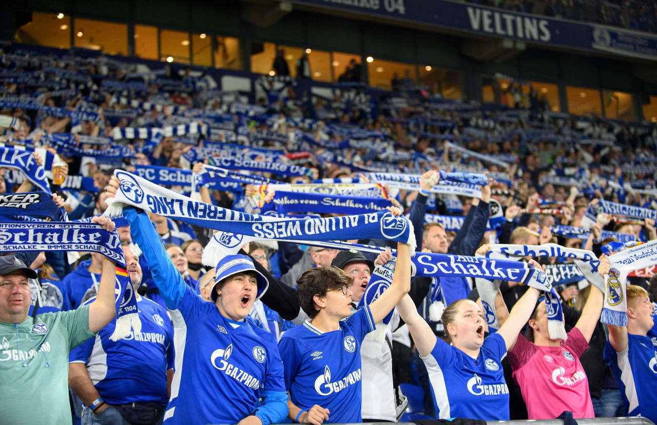 Für die Fans des FC Schalke 04 gibt es Grund zur Freude.