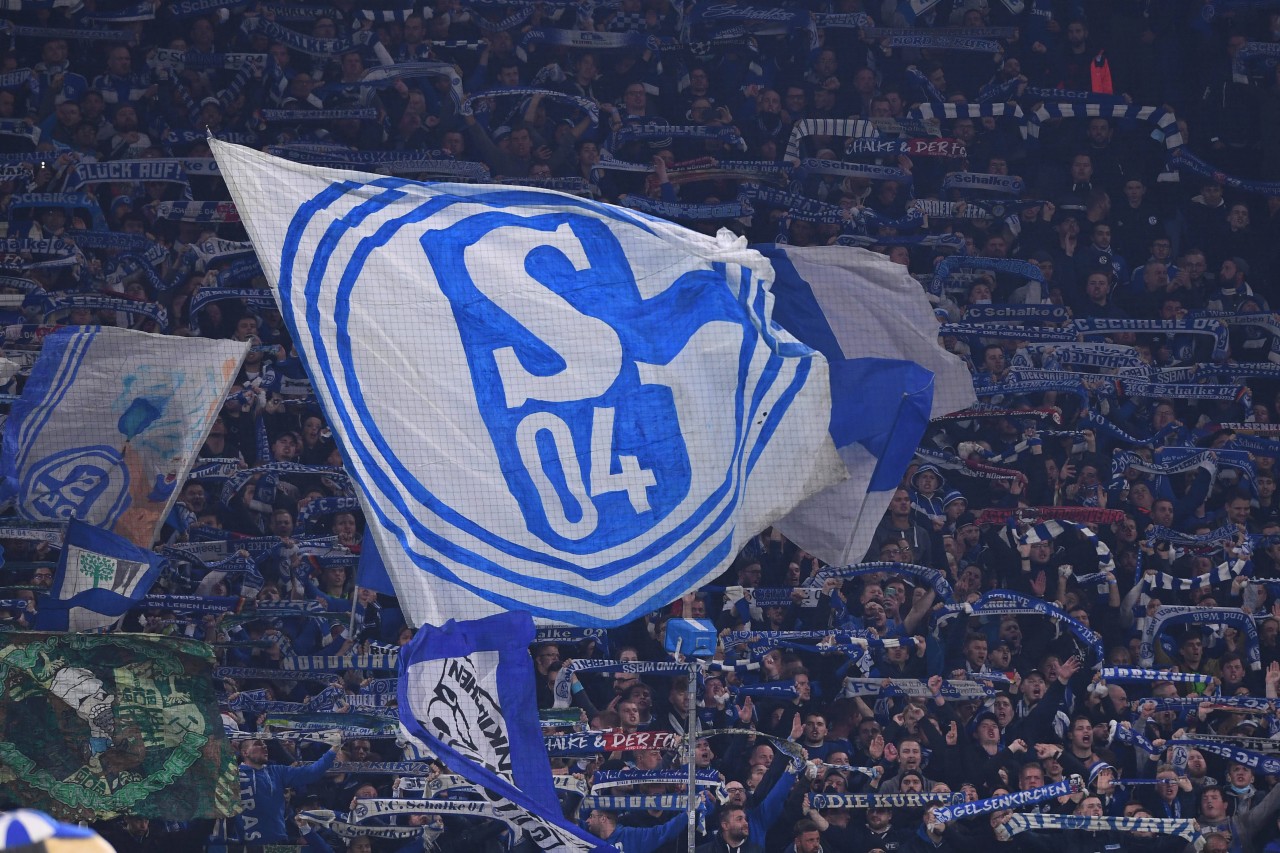 Gute Nachrichten für den FC Schalke 04 und seine Anhängern.