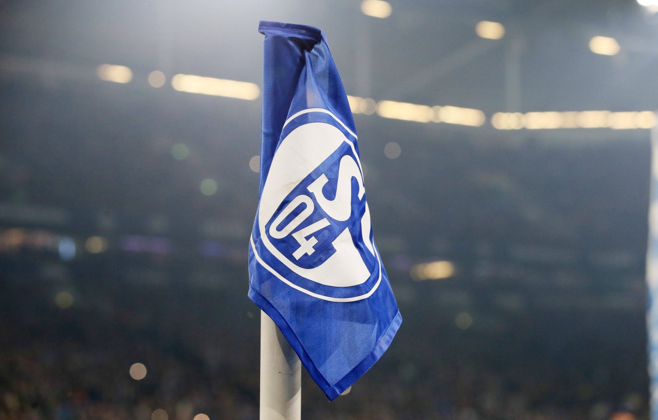 FC Schalke 04: Die Knappen holen einen neuen Premium-Sponsor an Bord.