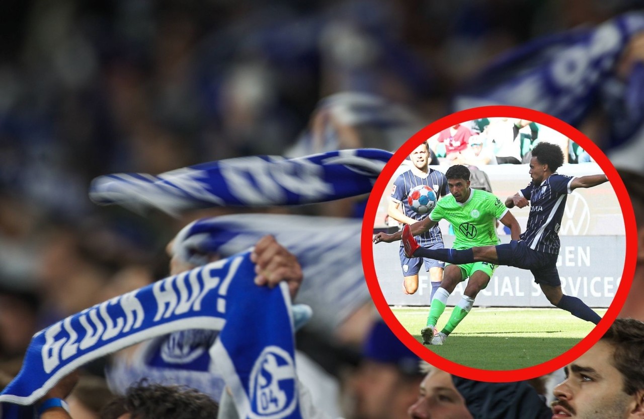 Beim FC Schalke 04 ist ein Fantraum geplatzt!