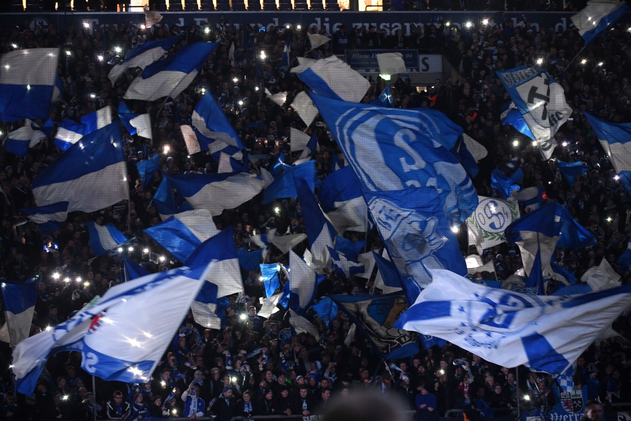 FC Schalke 04: Die Fans diskutieren über eine Idee des Vereins.