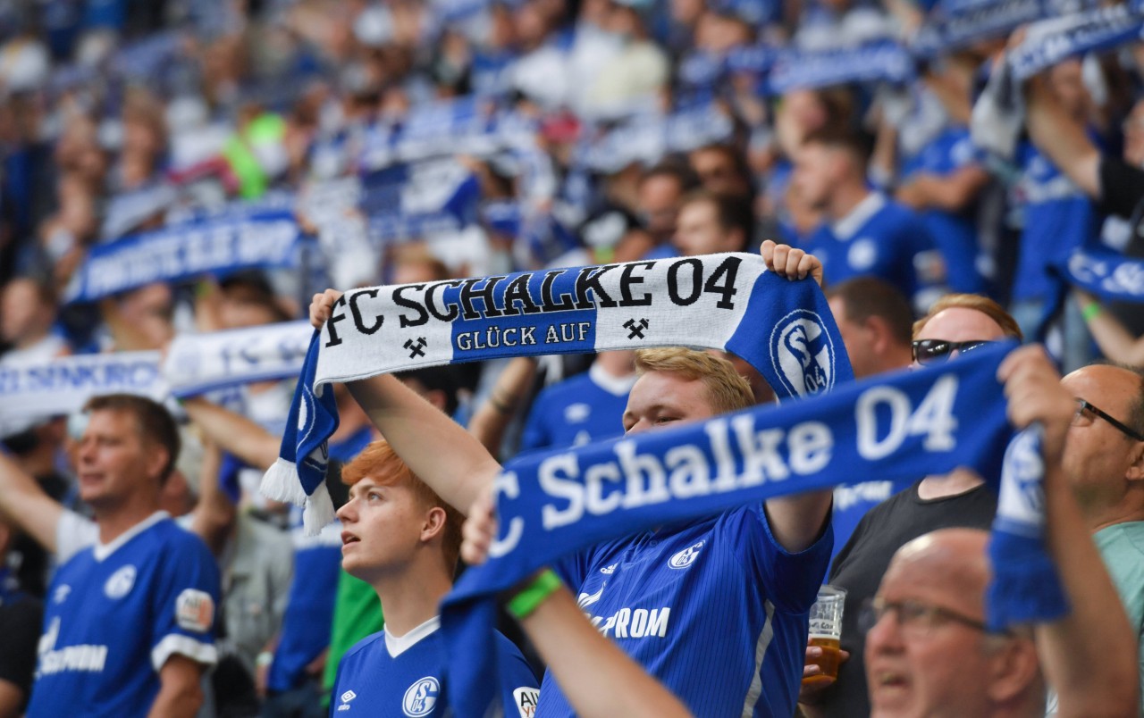 Beim FC Schalke 04 macht sich bereits Ernüchterung breit.