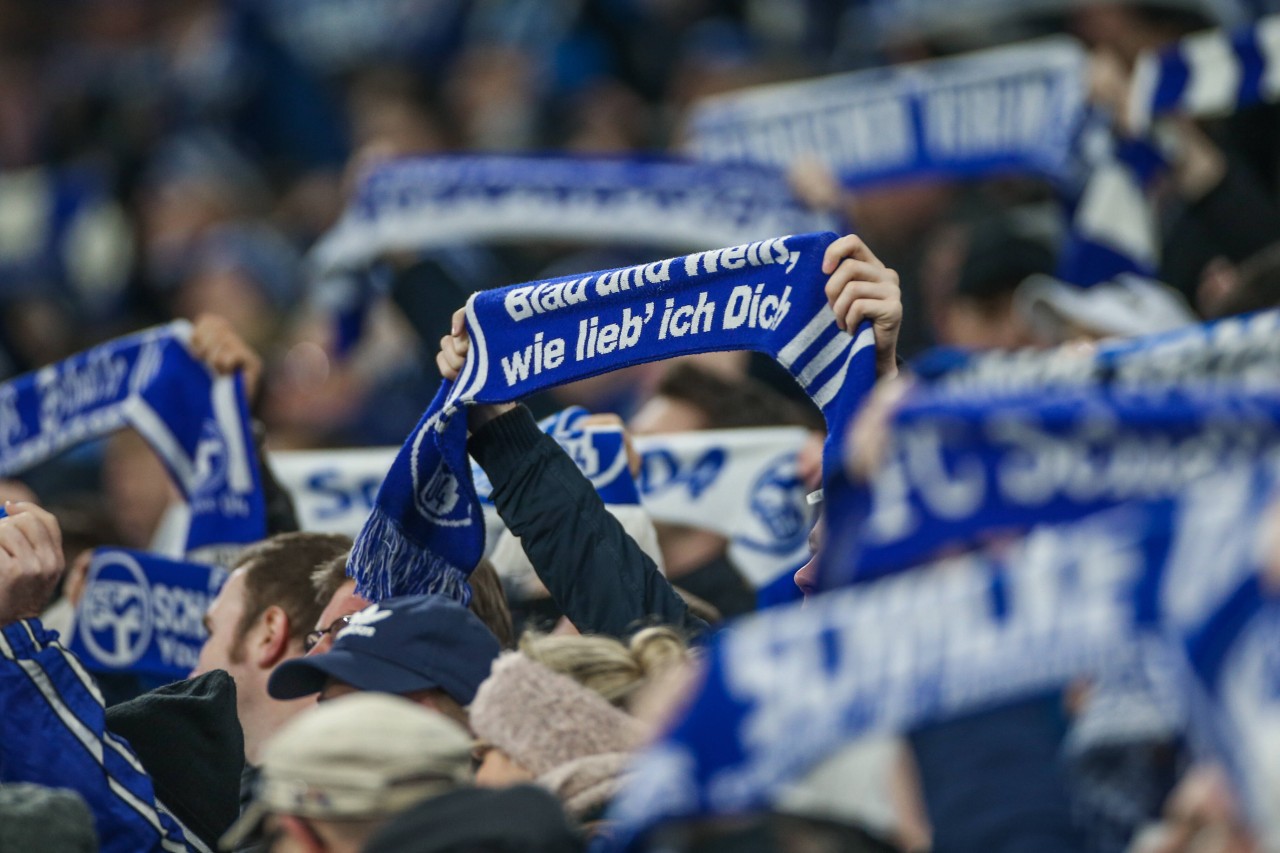 Der FC Schalke hat sich mit einem emotionalen Video an seine Fans gewandt (Symbolbild). 