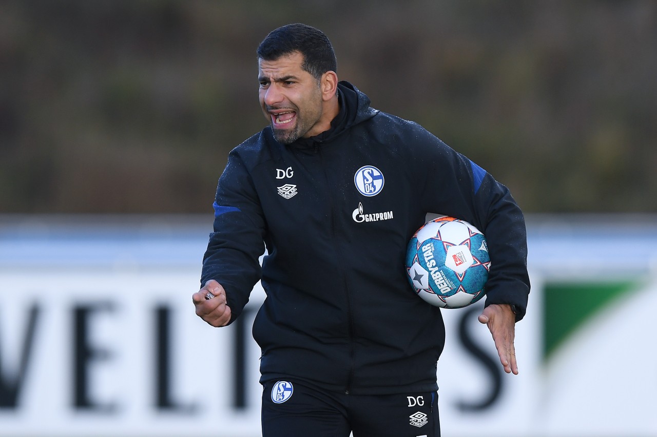 FC Schalke 04: Dimitrios Grammozis hat einen Wunsch.