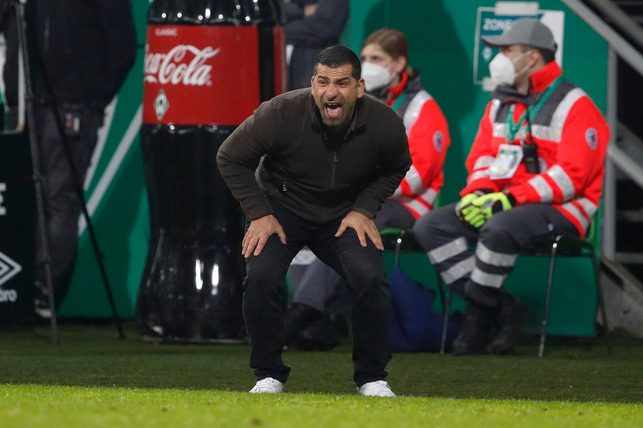 FC Schalke 04: Der sonst immer so heftig kritisierte S04-Trainer Dimitrios Grammozis wird plötzlich von den Fans gefeiert.