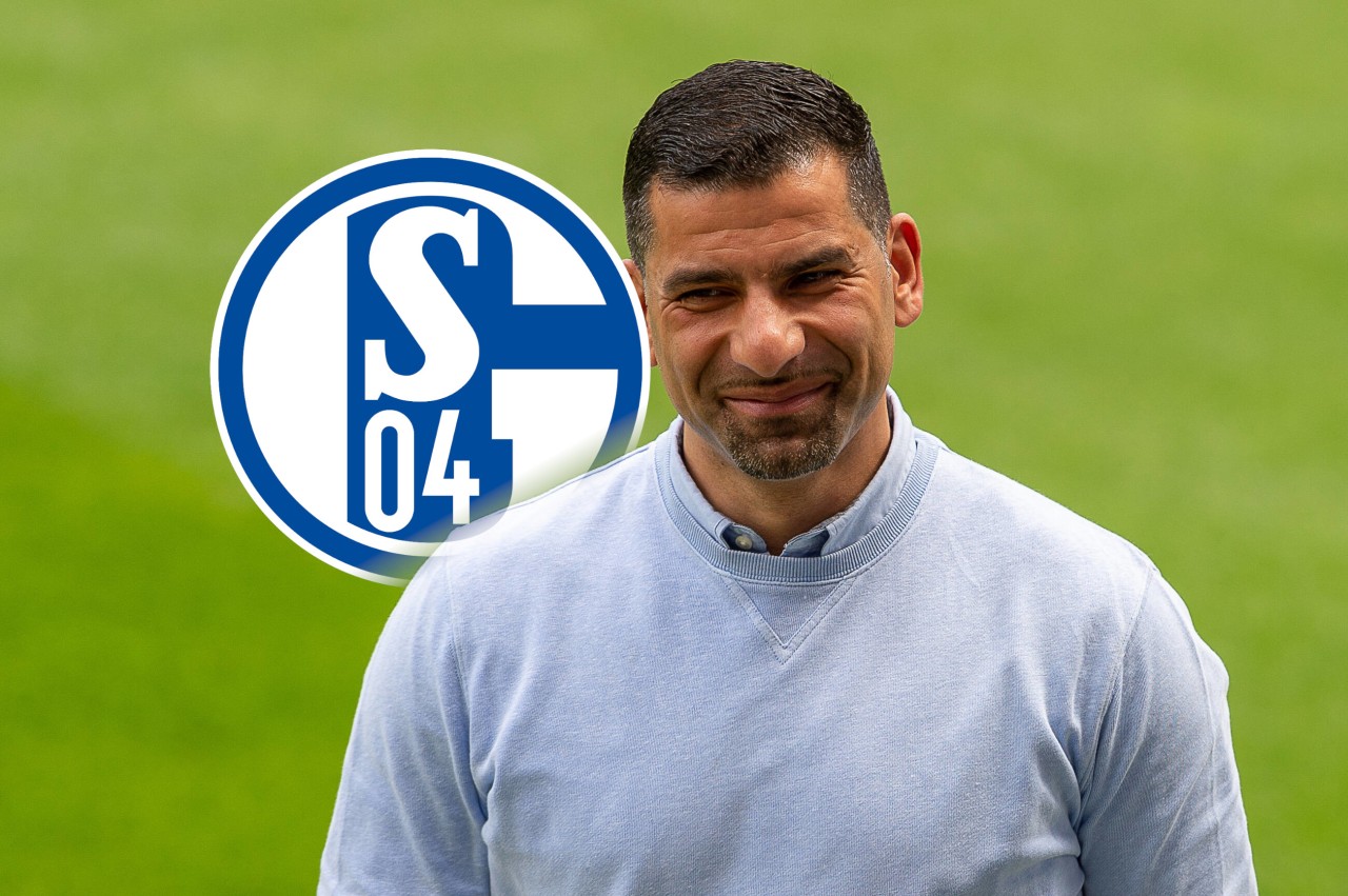 FC Schalke 04: Dimitrios Grammozis spricht über den neuen Kader.
