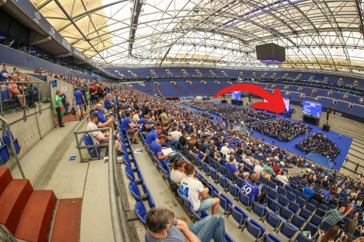 FC Schalke 04 MV.jpg