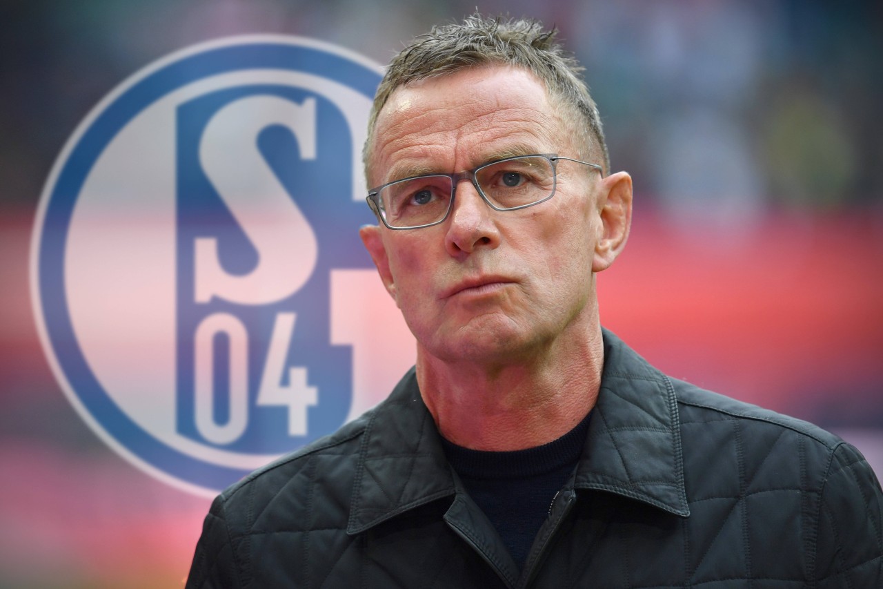 Ralf Rangnick hat dem FC Schalke 04 abgesagt.