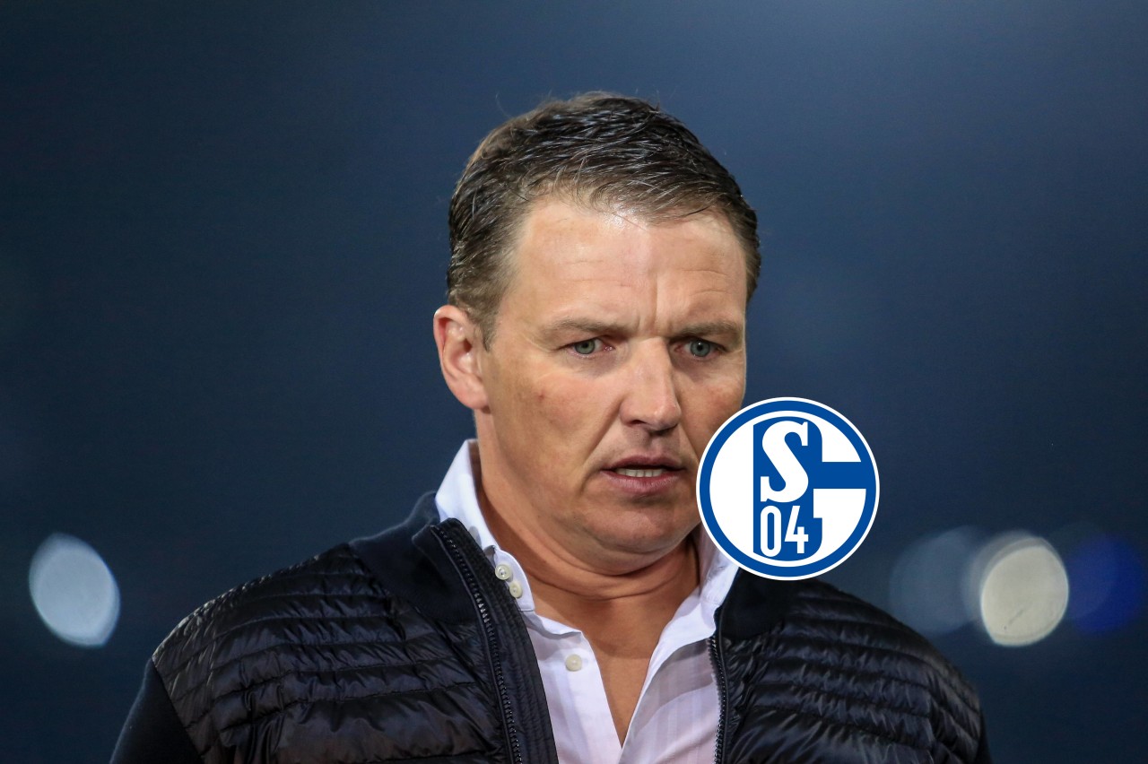 FC Schalke 04 muss harte Worte von Ex-Keeper Frank Rost einstecken.