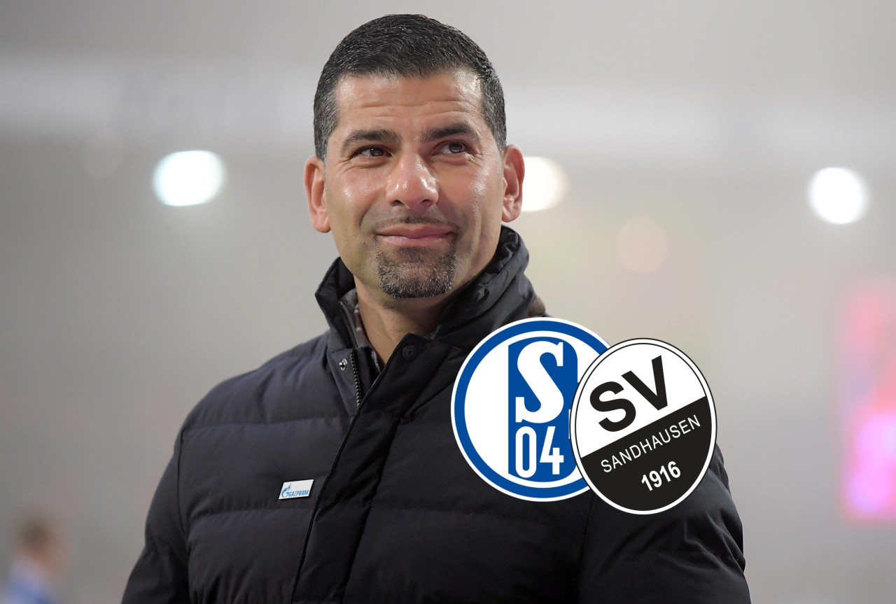 FC Schalke 04 gegen den SV Sandhausen im Live-Ticker!