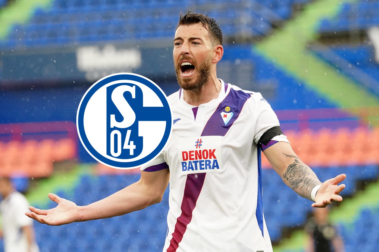Bericht: Sergi Enrich steht vor der Unterschrift beim FC Schalke 04