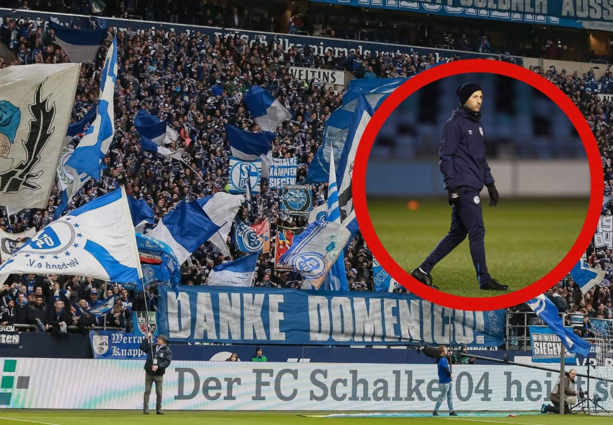 FC Schalke 04 Tedesco .jpg