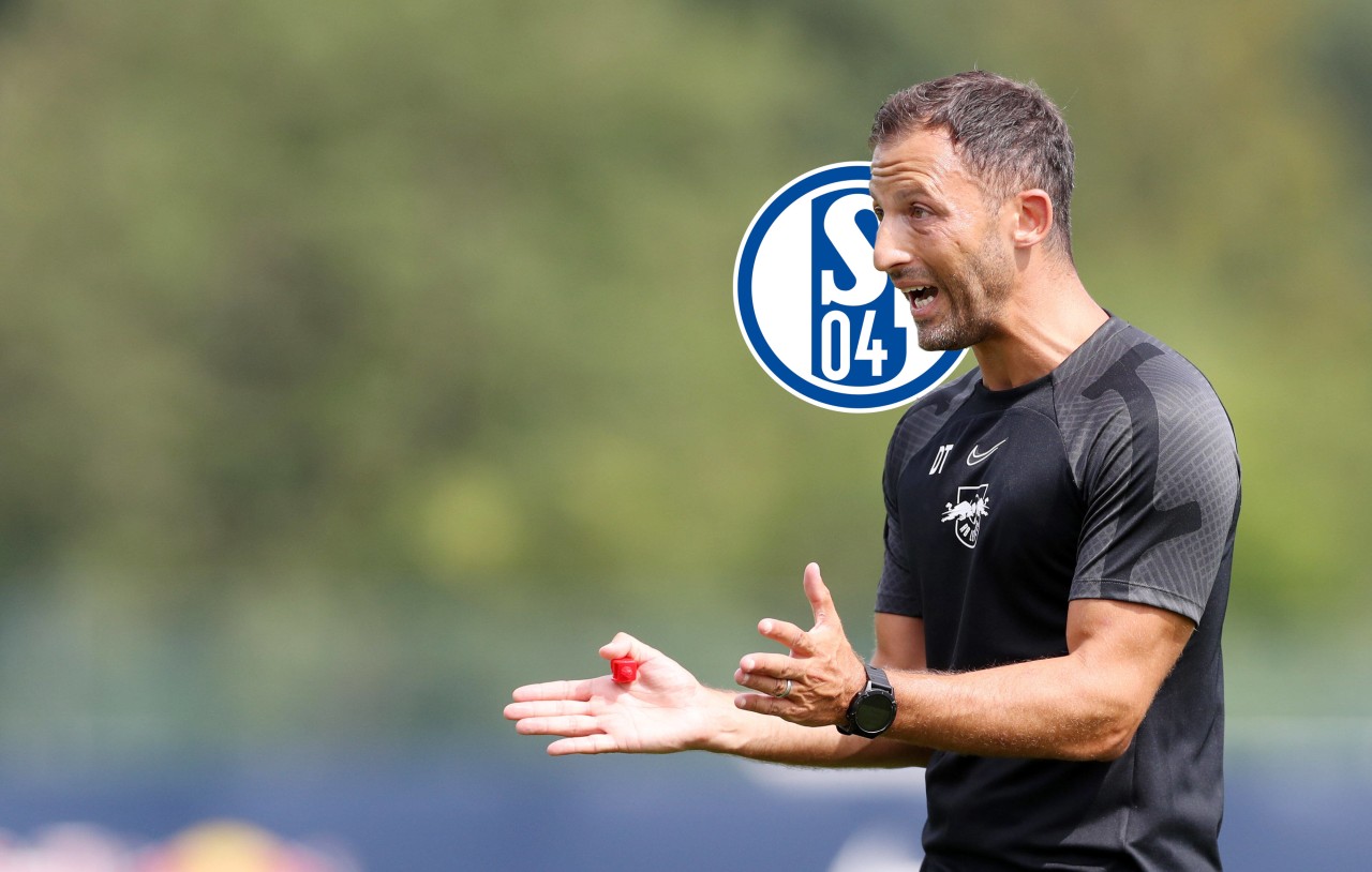 FC Schalke 04: Tedesco spricht über eine S04-Erinnerung. 