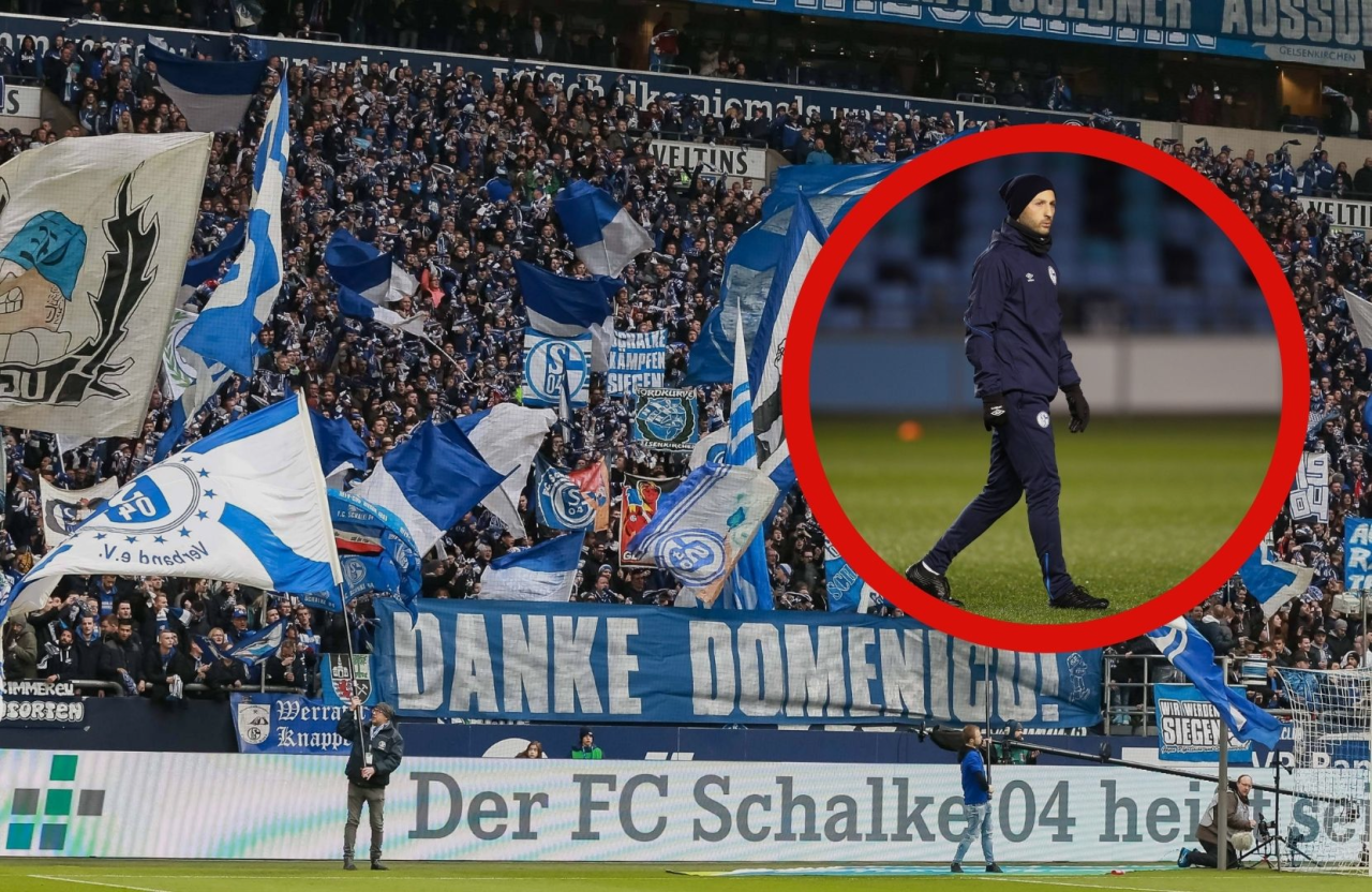 FC Schalke 04: Die S04-Fans sind in heller Aufregung. Der Grund: Ex-Trainer Domenico Tedesco.
