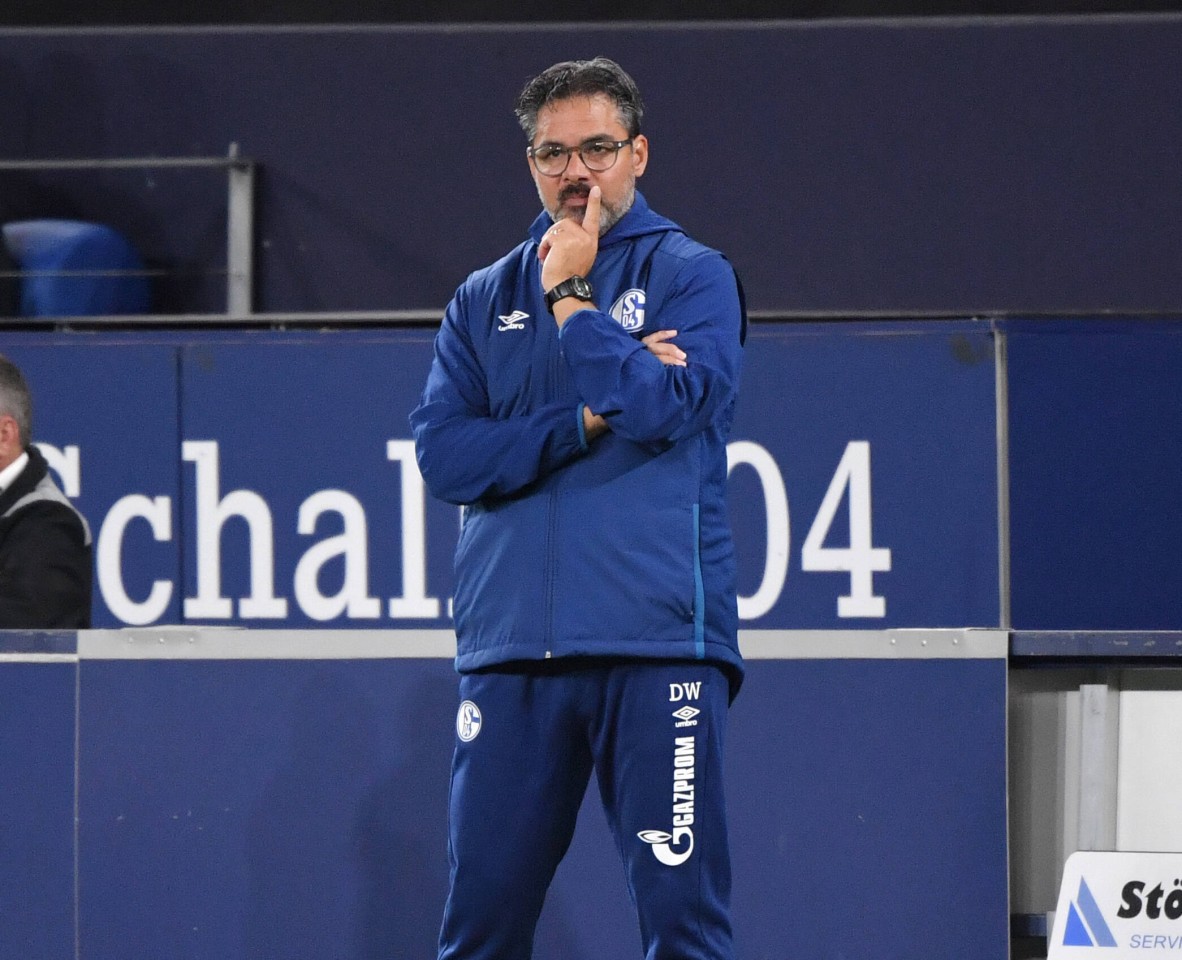 Der S04 verlor 18 Spiele hintereinander unter David Wagner.