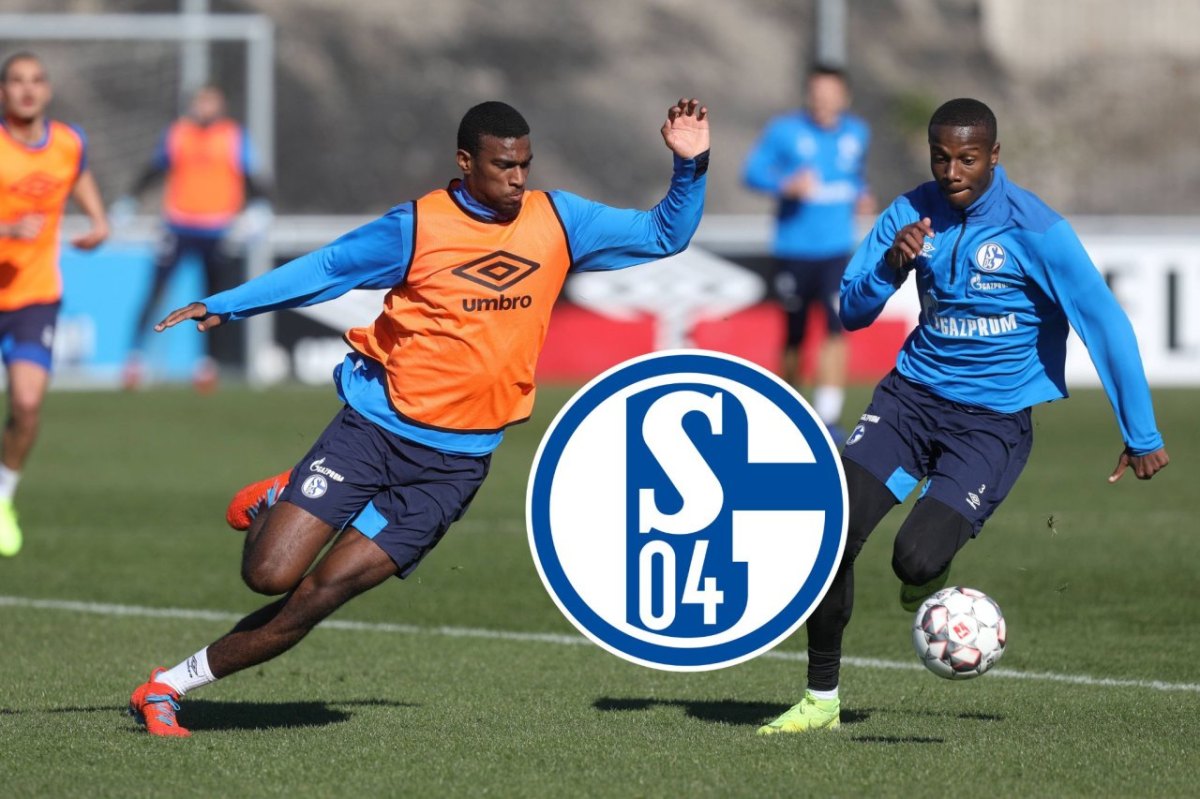 FC Schalke 04 Wright.jpg
