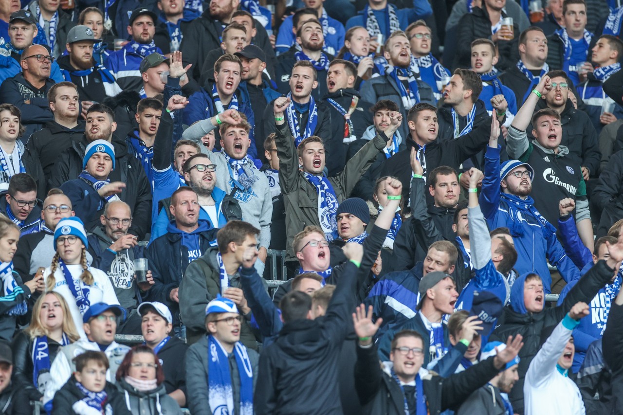 Die Fans des FC Schalke 04 erwarten das Spiel gegen Dynamo Dresden mit gemischten Gefühlen. 