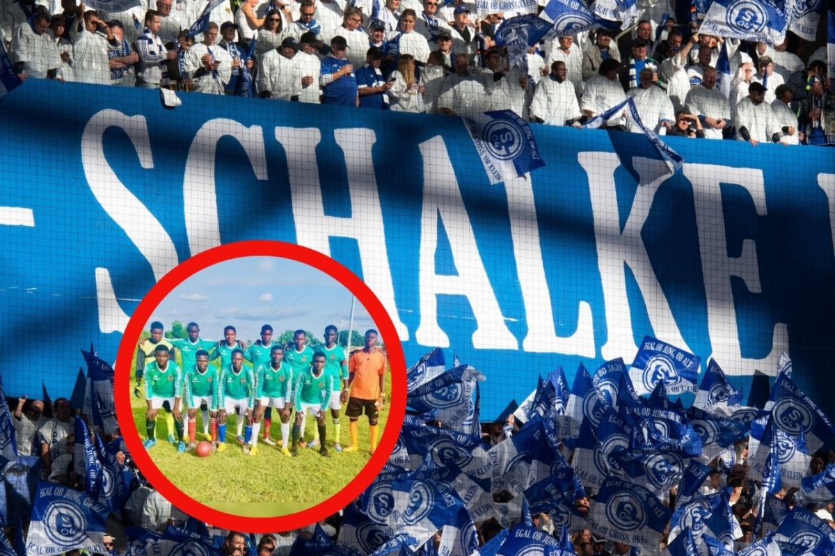 FC Schalke Togo.jpg