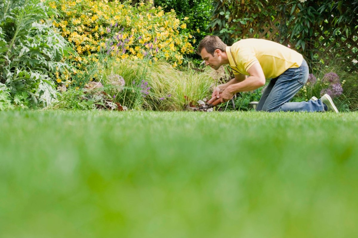 Gartenarbeit Gärtnern.jpg