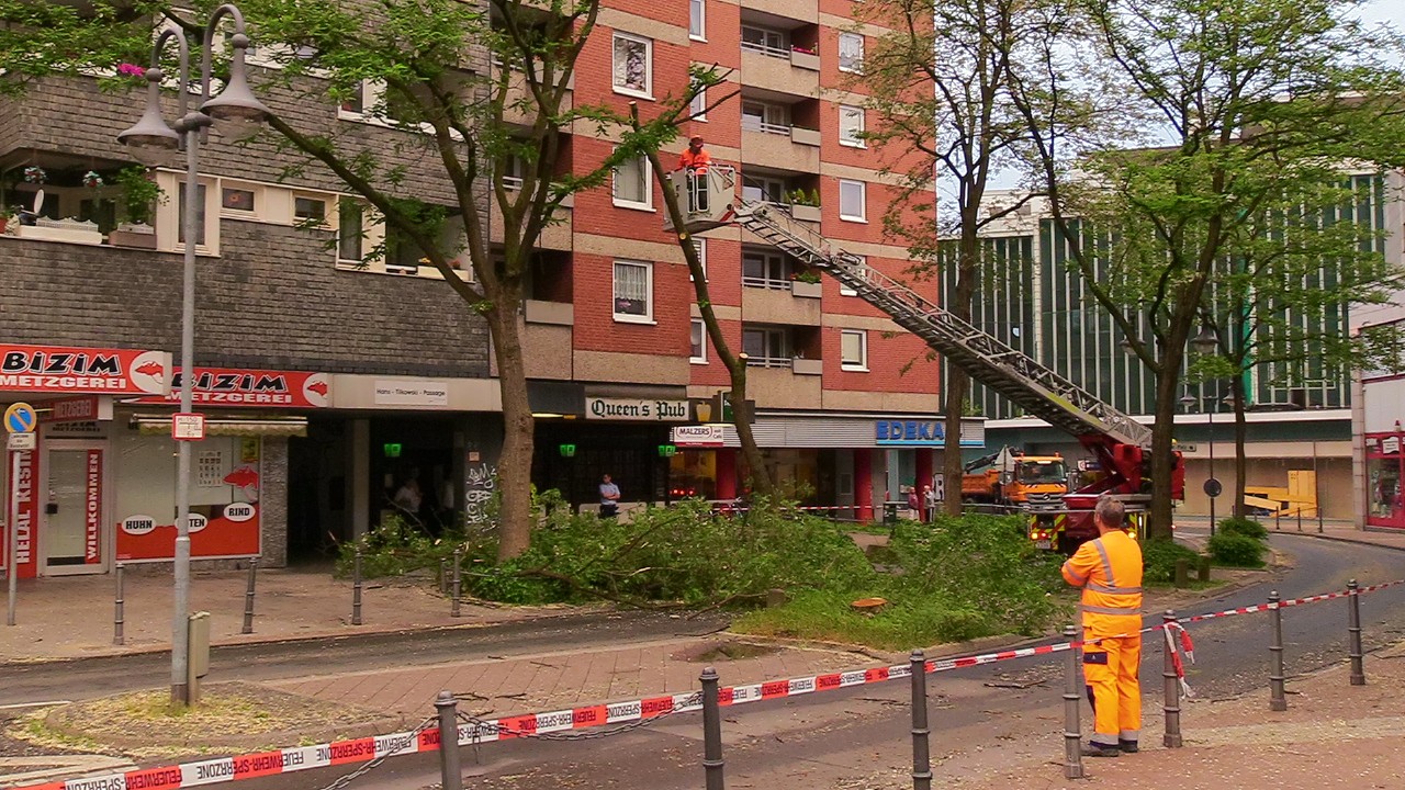 An der Bebelstraße in Herne musste ein Baum nach dem Unwetter gefällt werden.
