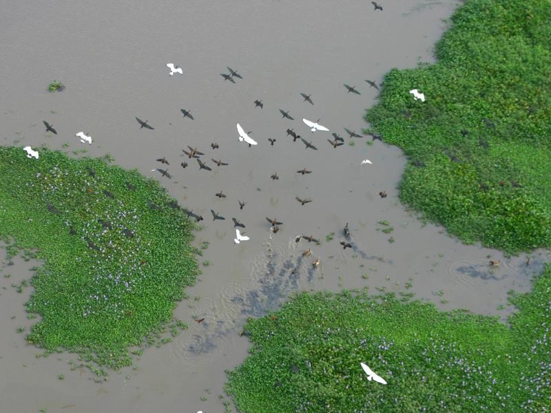 Vögel über den Lake Uraima im Gorongosa Nationalpark in Mosambik.