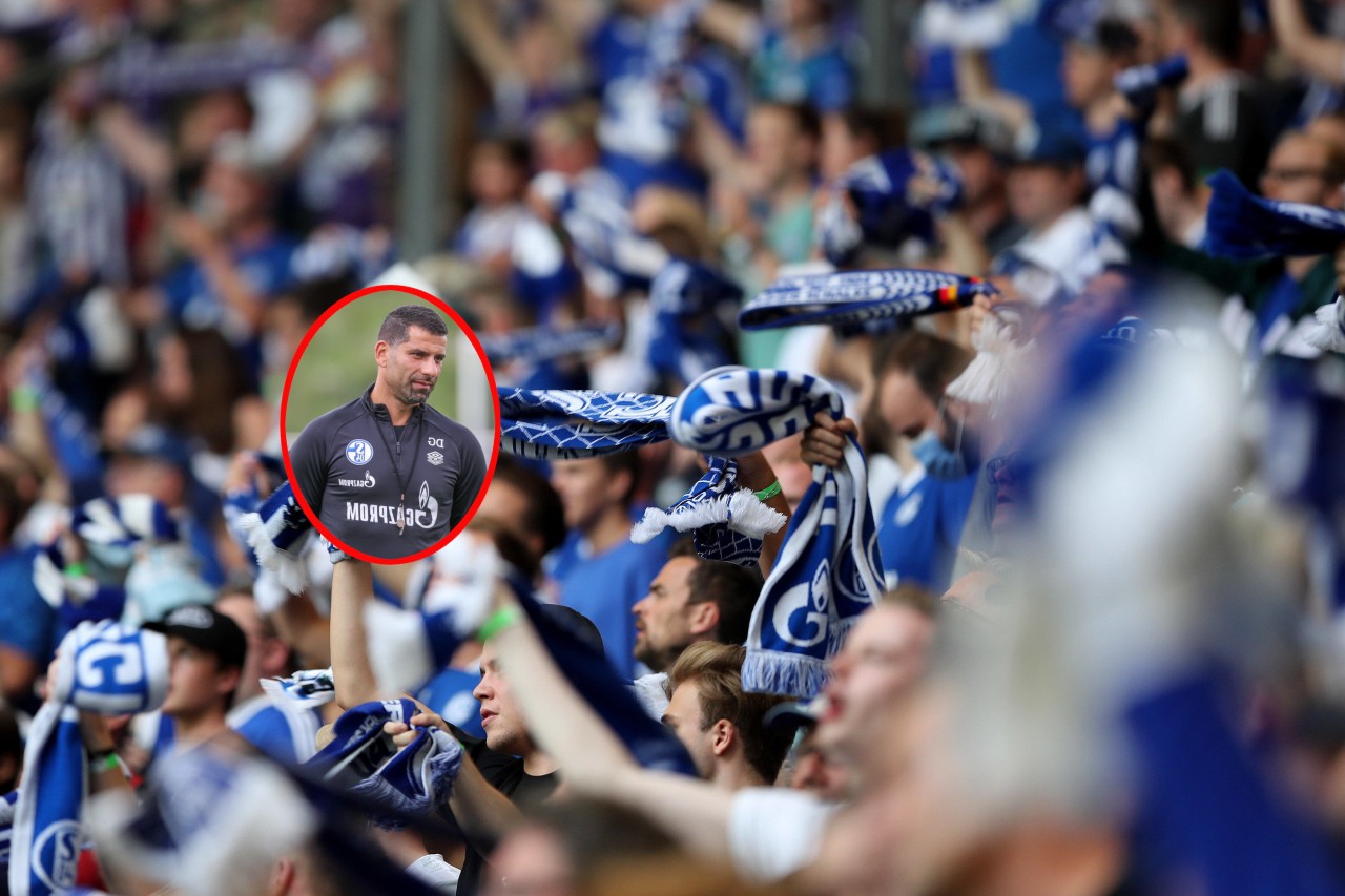 FC Schalke 04: Fans wütend über diese Aussagen von Trainer Dimitrois Grammozis. 