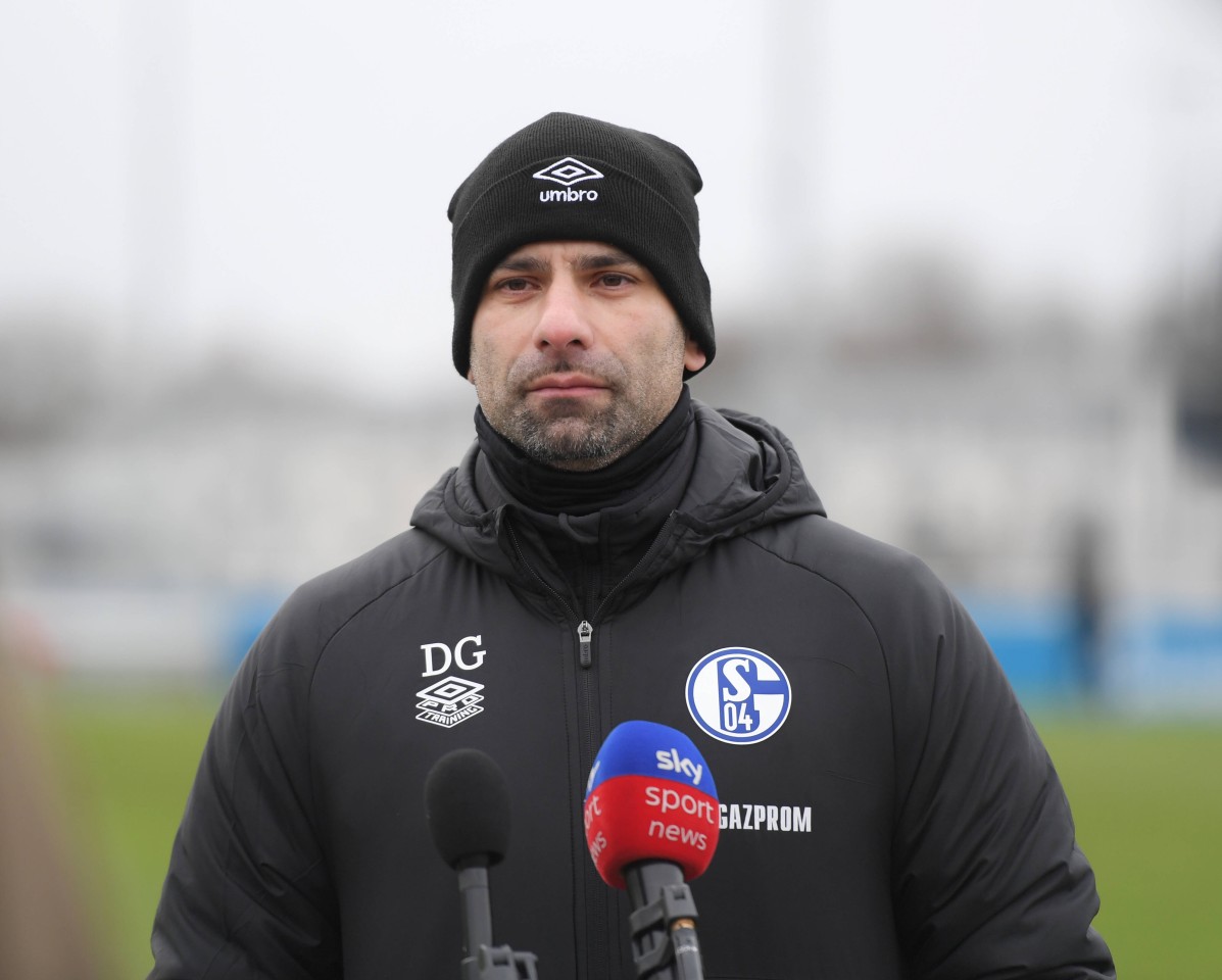 Schalke-Trainer Dimitrios Grammozis