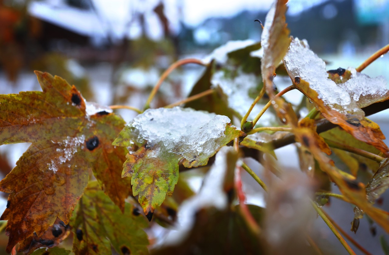 Wetter in NRW: In den kommenden Nächten wird es kühl – Achtung vor Bodenfrost! (Symbolbild)