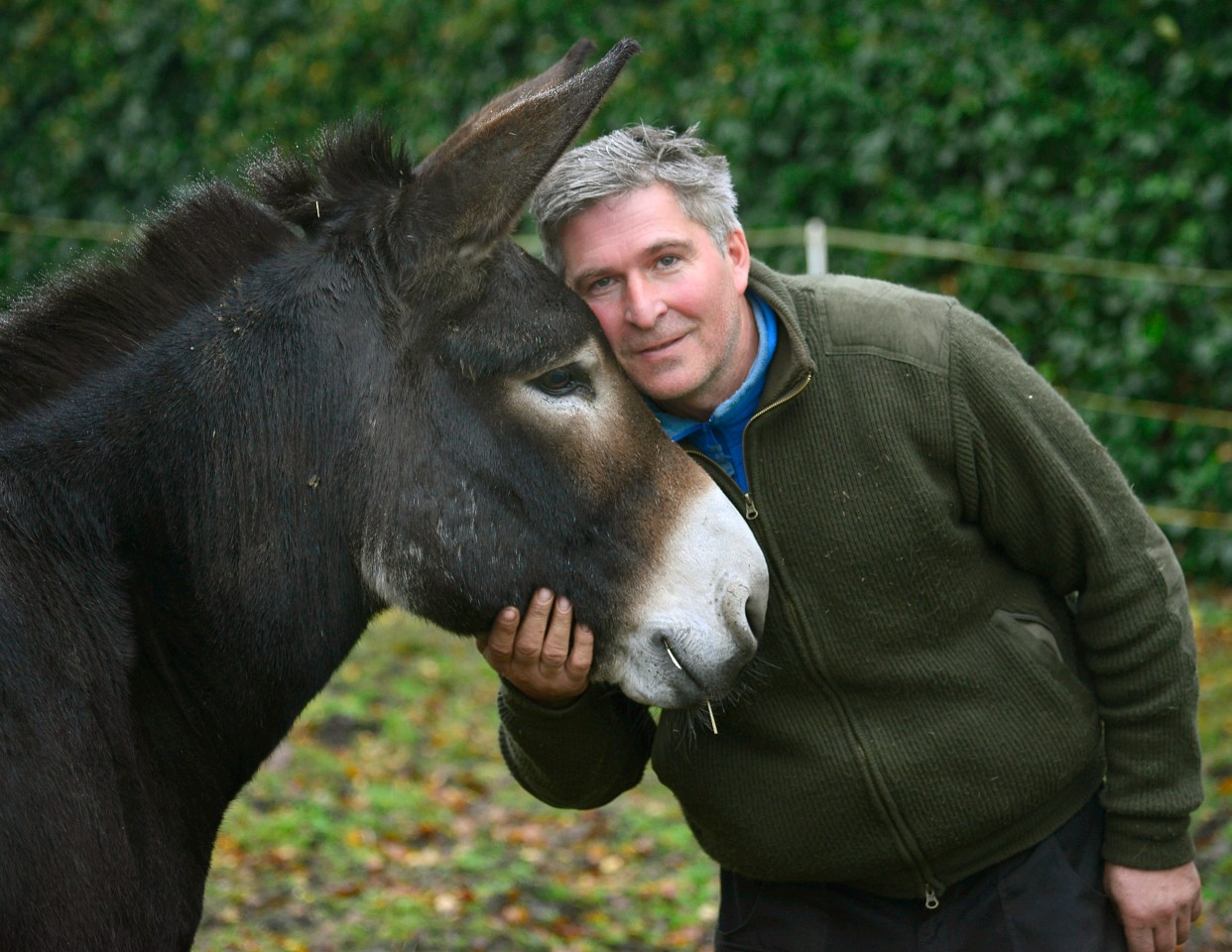 Stefan Kaiser mit seinem Esel. Er bietet Ponyreiten auf dem Cranger Weihnachtszauber an.