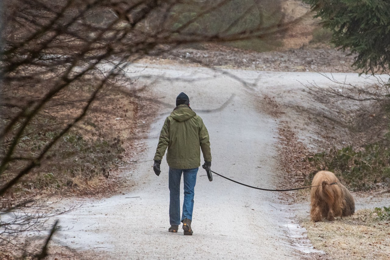 Hund in Bochum: Ein Herrchen erlebte beim Spaziergang mit seinem Vierbeiner einen Schock. (Symbolbild)