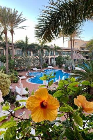 Die wunderschöne tropische Garten- und Poollandschaft des Hotels.