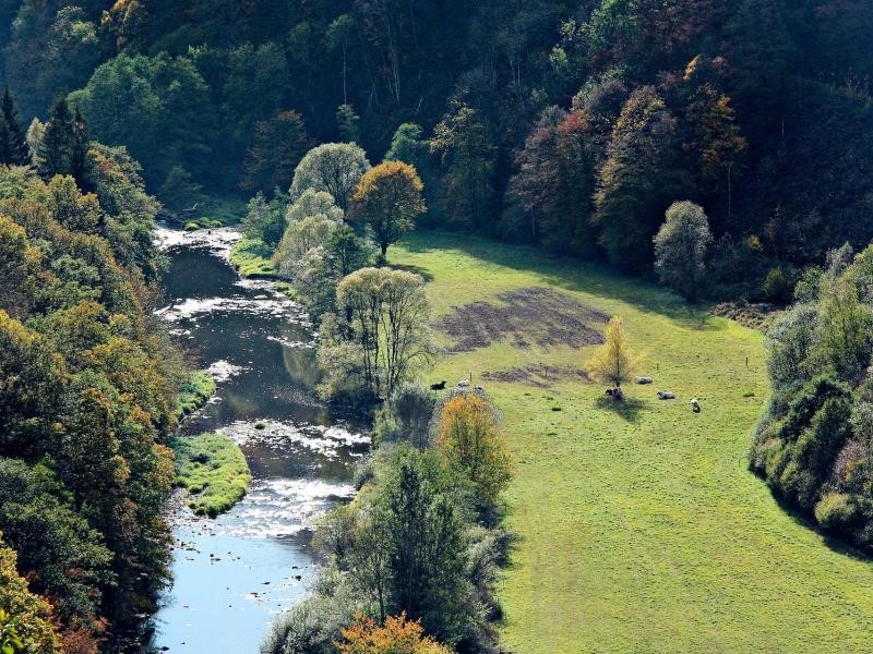 Idyllisches Ourtal im Nationalpark Eifel - hier können Urlauber die Natur genießen.