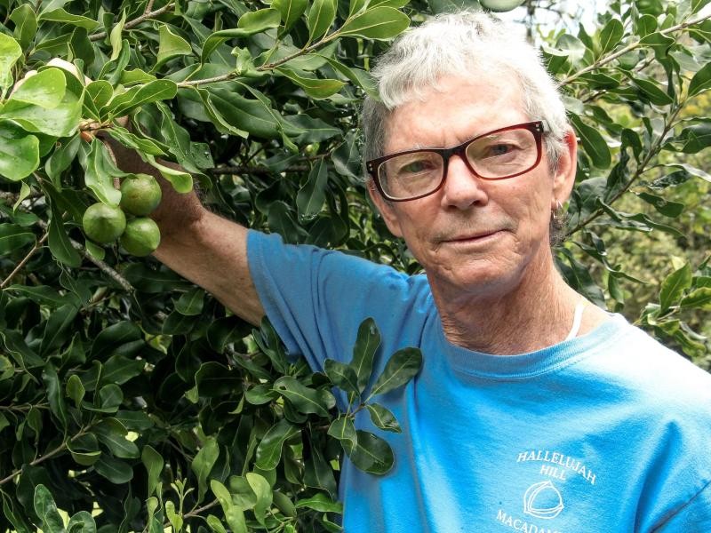 Jicky Mebane betreibt eine Farm auf dem Hallelujah Hill in Hilo, wo er Macadamia-Nüsse anbaut.