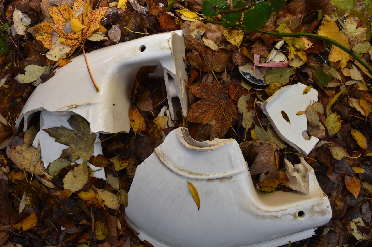 Einfach in den Wald geworfen: Eine Keramikschüssel sowie ein Flip-Flop.