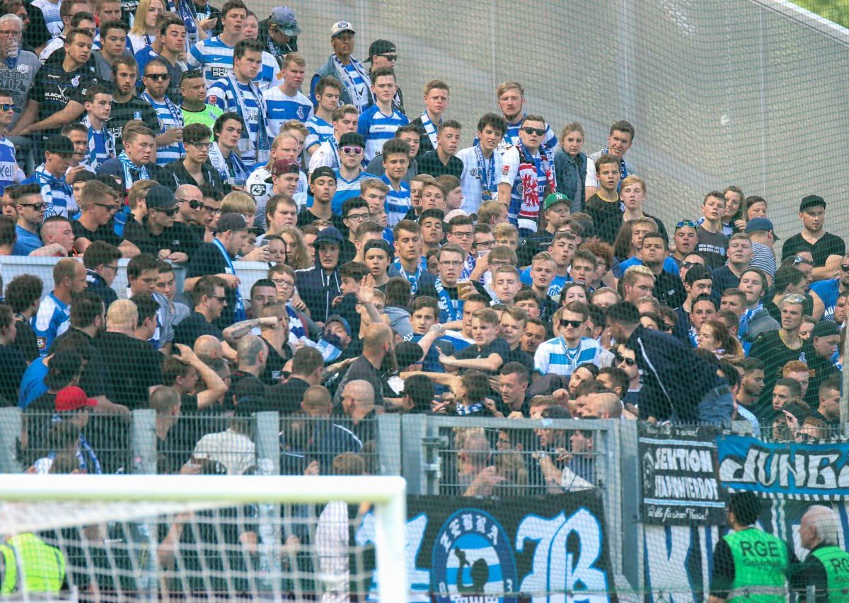 MSV Hools.jpg
