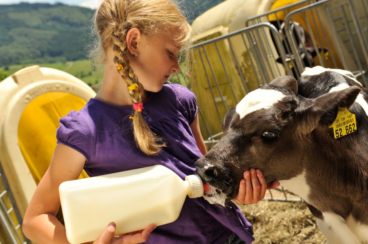 Tiere füttern zählt zu den besonders einprägsamen Erlebnissen während eines Bauernhof-Urlaubs.